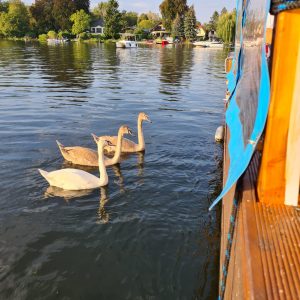 15 Personen Floß „Blue Pearl“ – führerscheinfrei